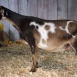 Better Wayz Kissimmee 4*M VEEE90 Better Wayz Kissimmee 4*M VEEE90 pc: Better Wayz