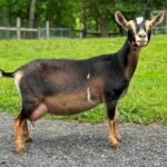 Grace 2F 06-25 Grace 2F 06-25