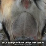 Sunnydale Farm J Hope 1*M EEEE 91 pc Sunnydale Farm Sunnydale Farm J Hope 1*M EEEE 91 pc Sunnydale Farm